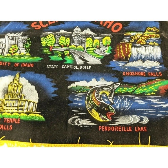 Idaho Pillow Cover Wall Hanging Black Velvet - Picture 3 of 6